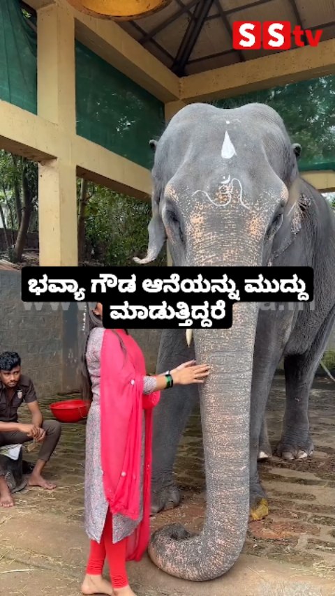 ಭವ್ಯಾ ಗೌಡ ಆನೆಯನ್ನು ಮುದ್ದು ಮಾಡುತ್ತಿದ್ದರೆ