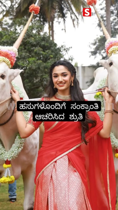 ಹಸುಗಳೊಂದಿಗೆ ಸಂಕ್ರಾಂತಿ ಆಚರಿಸಿದ ಶ್ರುತಿ