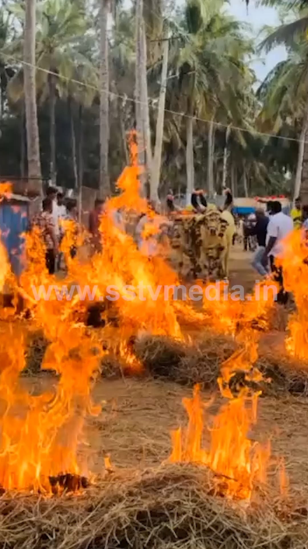ದರ್ಶನ್ ಫಾರ್ಮ್ ಹೌಸ್ ನಲ್ಲಿ ಸಂಕ್ರಾಂತಿ ಸಂಭ್ರಮ