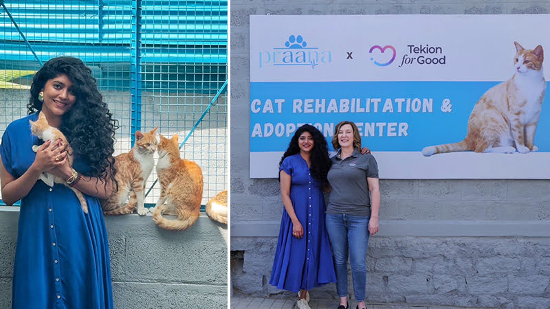 Special shelter and adoption centre for orphaned cats in Bengaluru