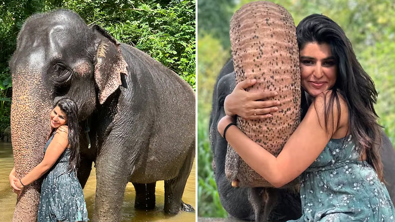 Sharanya Shetty completely chilled out after bathing an elephant in a river in Sri Lanka