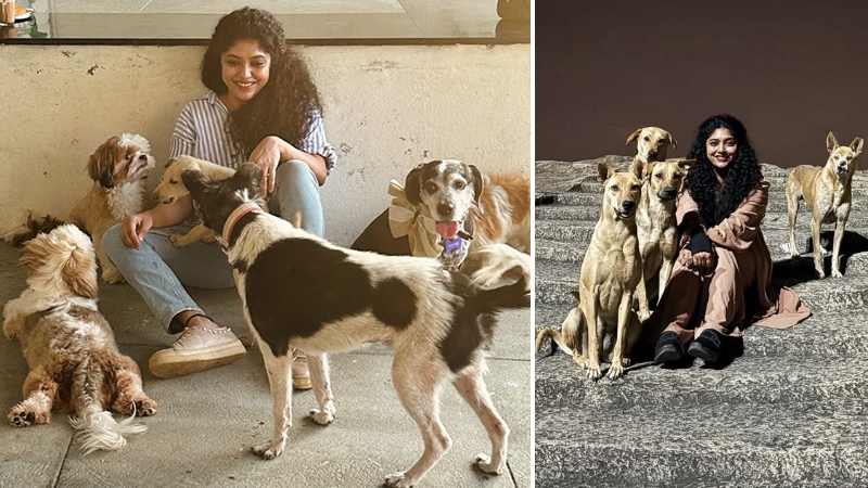 Samyuktha Hornad as the guardian of orphaned animals