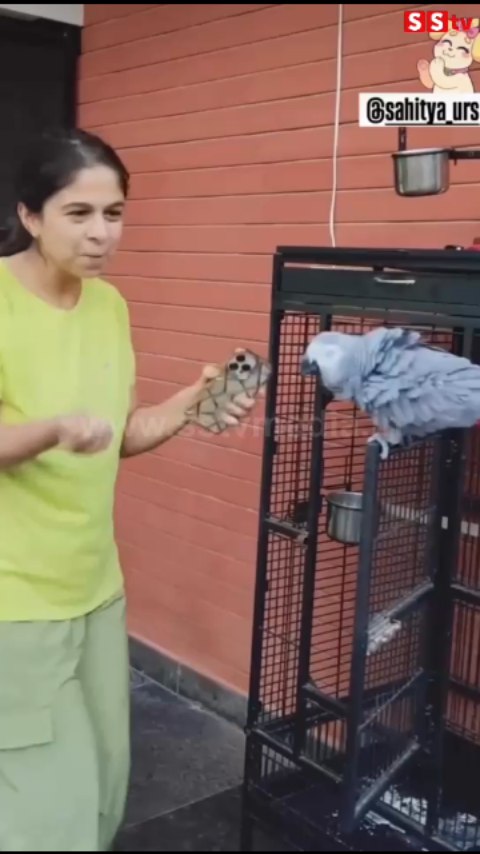 The bird that danced to the song of the Jinka Marina