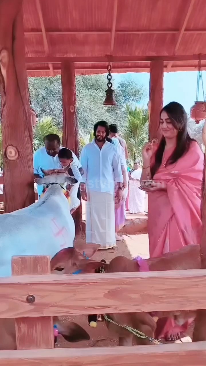 ಹಸುಗಳಿಗೆ ಪೂಜೆ ಮಾಡಿದ ನಿಖಿಲ್ ಕುಮಾರ್ ಸ್ವಾಮಿ ಹೆಂಡತಿ