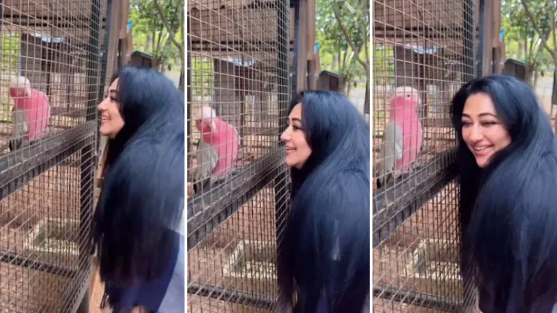 Darshan gifts parrot to his wife