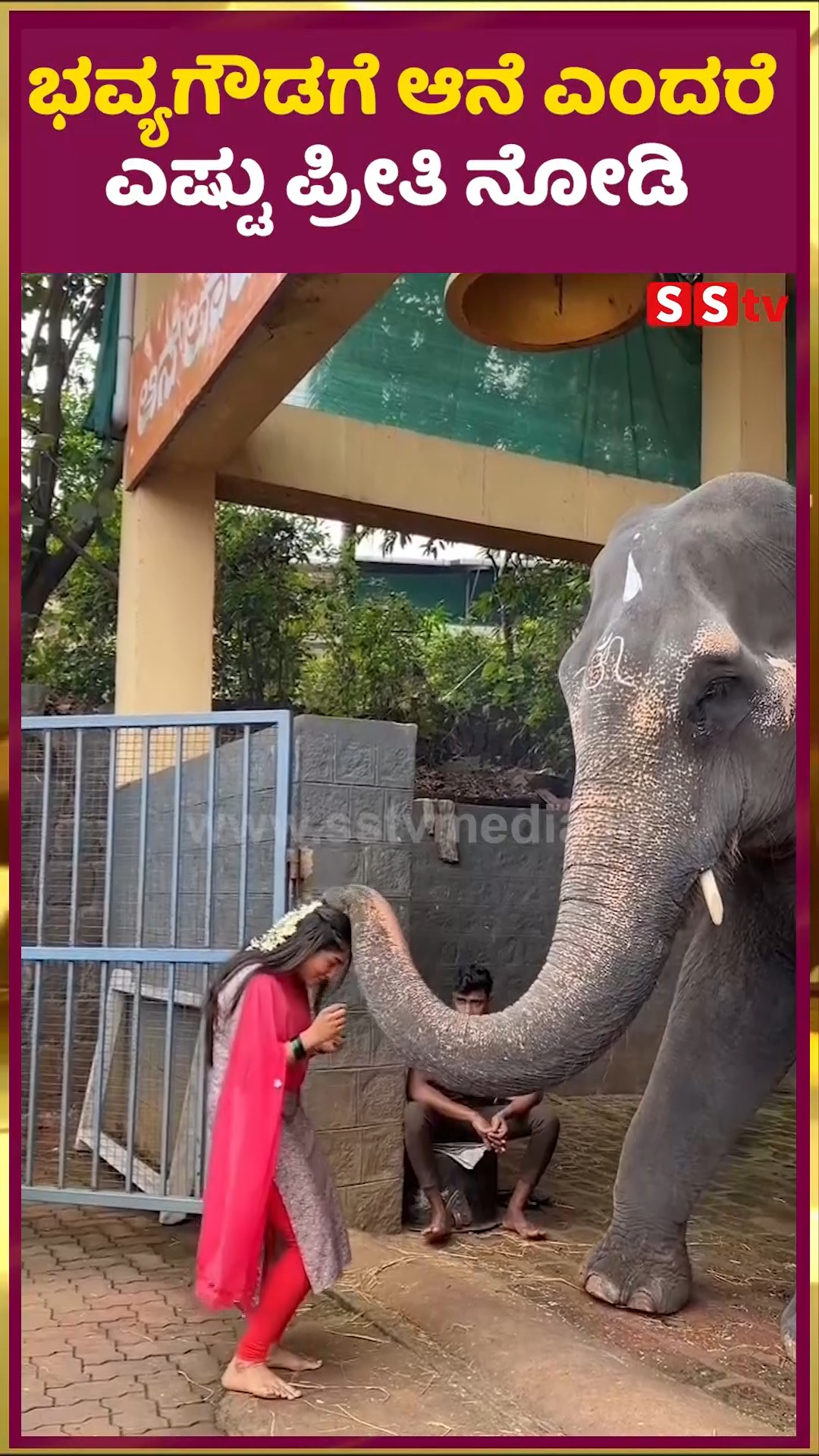 Look how much love Bhavya Gowda has for elephants