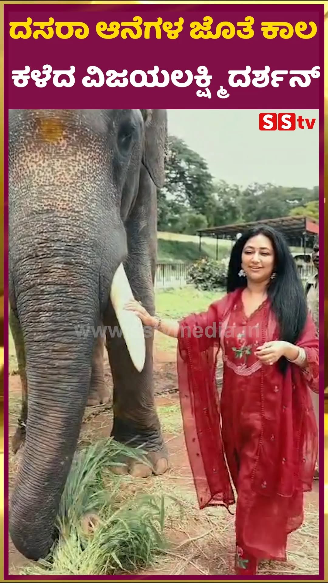 ದಸರಾ ಆನೆಗಳ ಜೊತೆ‌ ಕಾಲ‌ ಕಳೆದ ವಿಜಯಲಕ್ಷ್ಮಿ ದರ್ಶನ್